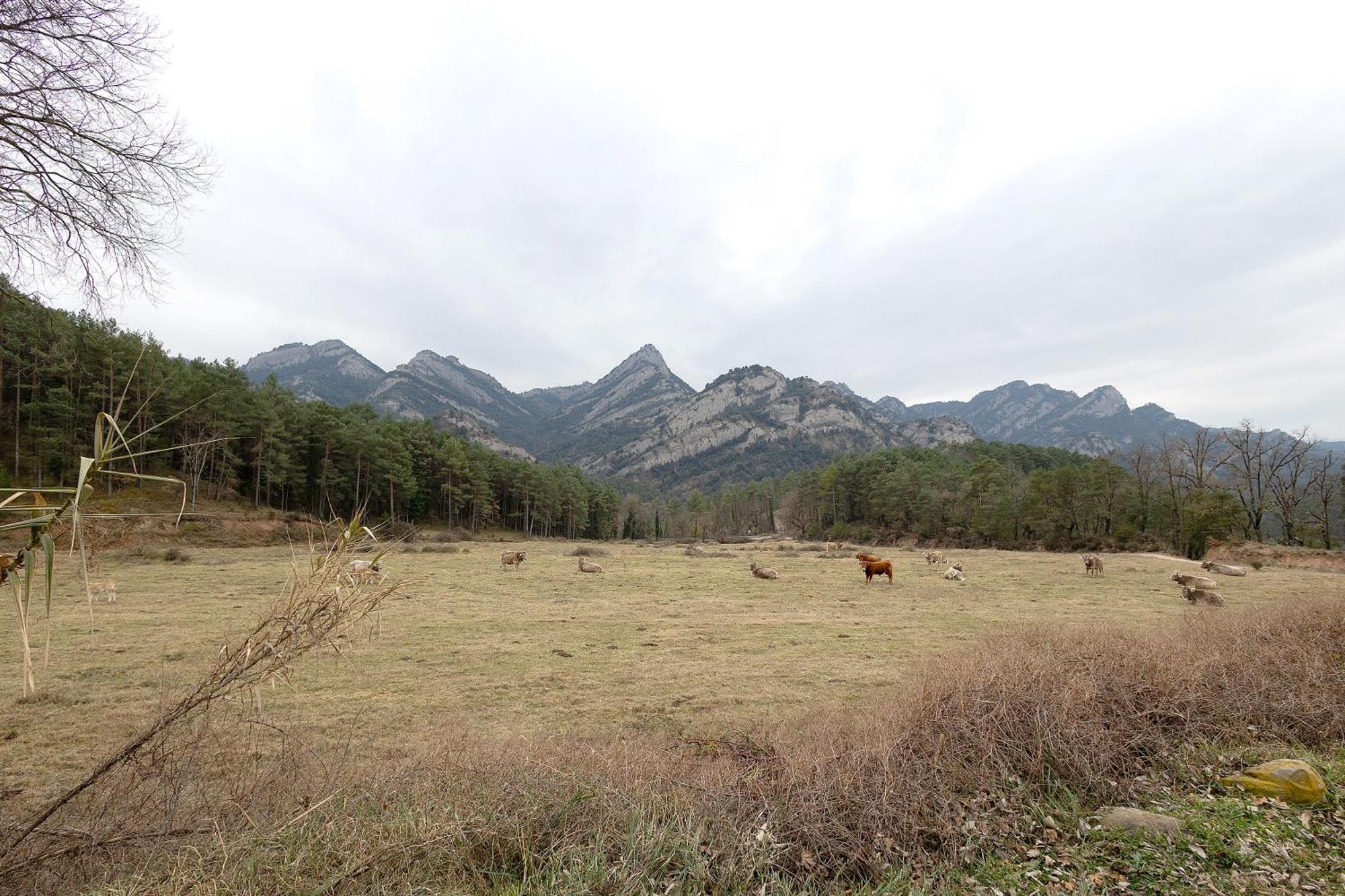 Agroturisme La Serra Vilada ภายนอก รูปภาพ